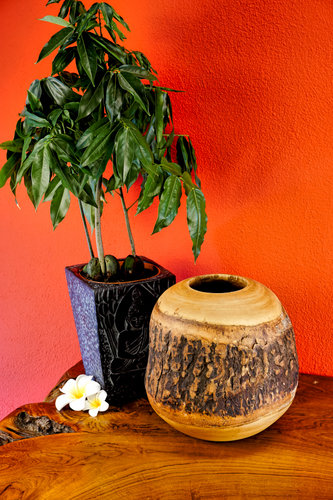 XL Mango Holz Vase mit Rinde rund