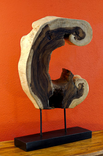Tree Slice Sculpture Acacia