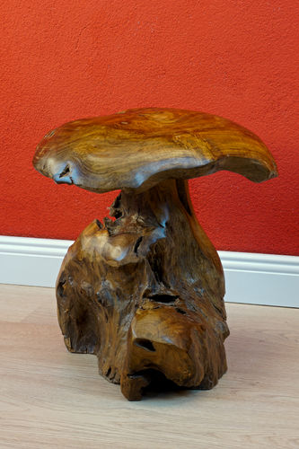 Root Wood Mushroom Sculpture