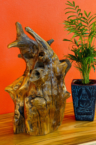 Teak Root Wood Sculpture 60cm