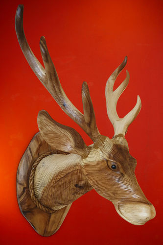 Wall trophy deer