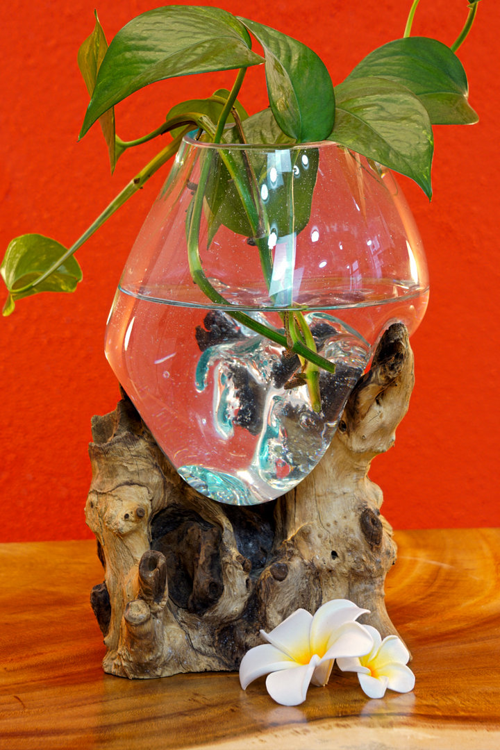 Root Wood Glass Vase Glass Vase Root Wood Teak Root Vase Decoration Gift Medium 