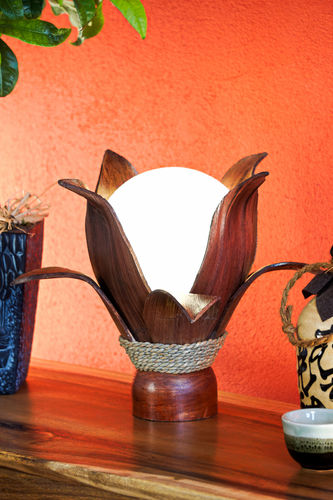 Coconut Lamp HAIKU