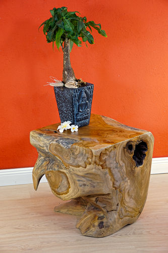 Root Wood Side Table POAN II