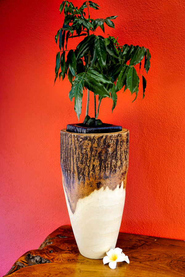 XL Mango Holz Vase mit Rinde hoch